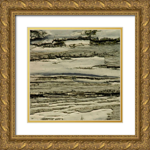 Natures Textures VIII Gold Ornate Wood Framed Art Print with Double Matting by Vision Studio