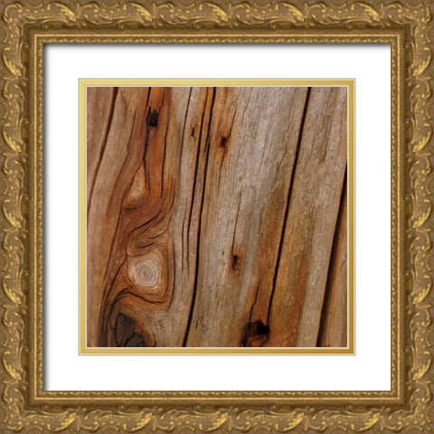 Natures Textures IX Gold Ornate Wood Framed Art Print with Double Matting by Vision Studio
