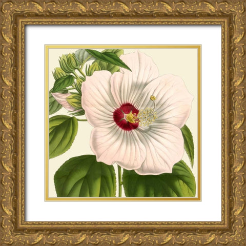 Tropical Vision I Gold Ornate Wood Framed Art Print with Double Matting by Vision Studio
