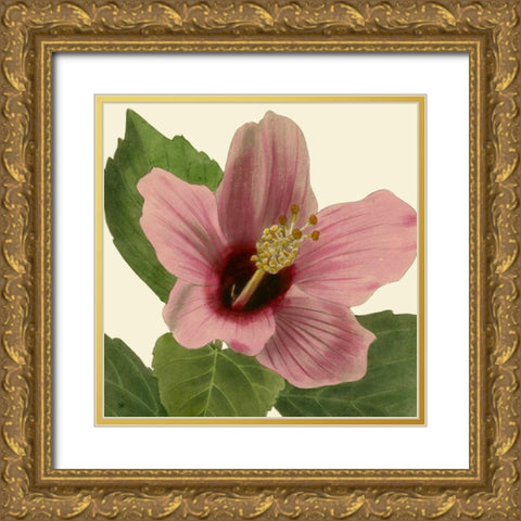 Tropical Vision II Gold Ornate Wood Framed Art Print with Double Matting by Vision Studio