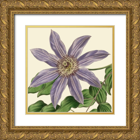 Tropical Vision III Gold Ornate Wood Framed Art Print with Double Matting by Vision Studio
