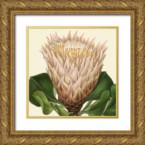 Tropical Vision VI Gold Ornate Wood Framed Art Print with Double Matting by Vision Studio