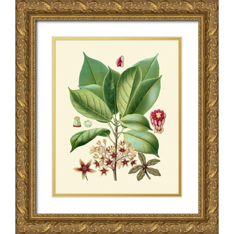 Botanical Glory I Gold Ornate Wood Framed Art Print with Double Matting by Vision Studio
