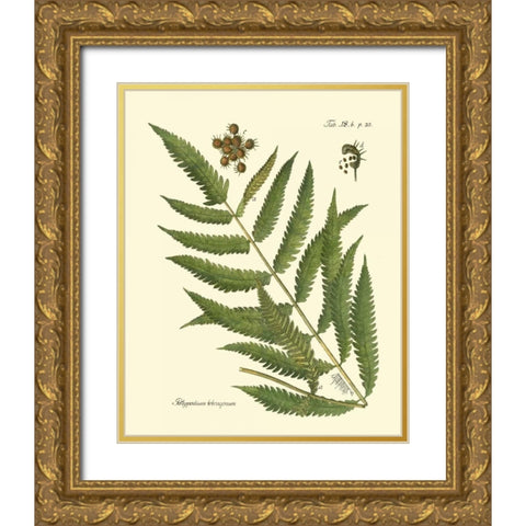 Antique Fern II Gold Ornate Wood Framed Art Print with Double Matting by Vision Studio