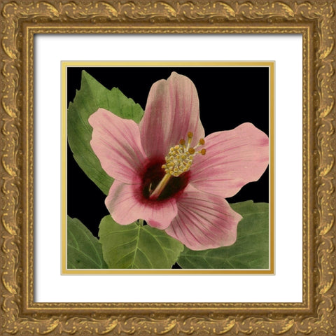 Dramatic Tropical Vision II Gold Ornate Wood Framed Art Print with Double Matting by Vision Studio