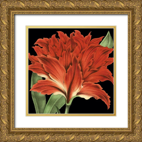 Dramatic Tropical Vision V Gold Ornate Wood Framed Art Print with Double Matting by Vision Studio