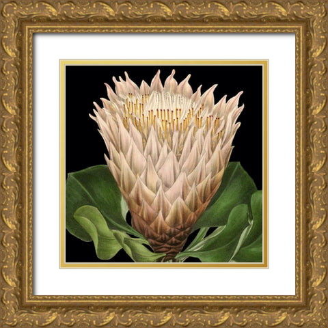 Dramatic Tropical Vision VI Gold Ornate Wood Framed Art Print with Double Matting by Vision Studio