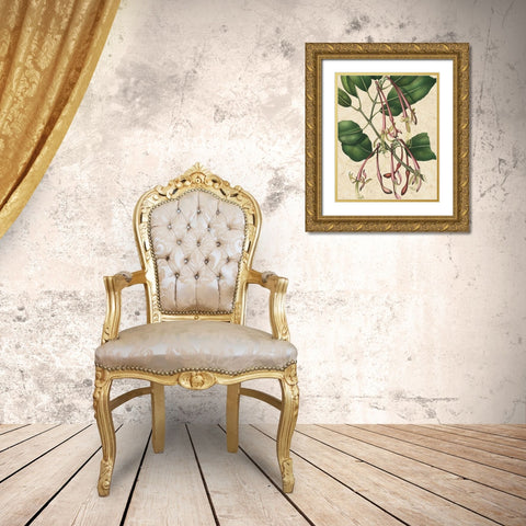 Botanic Beauty I Gold Ornate Wood Framed Art Print with Double Matting by Vision Studio