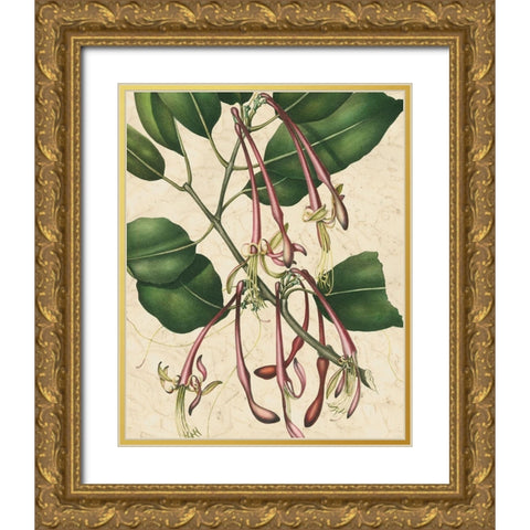 Botanic Beauty I Gold Ornate Wood Framed Art Print with Double Matting by Vision Studio