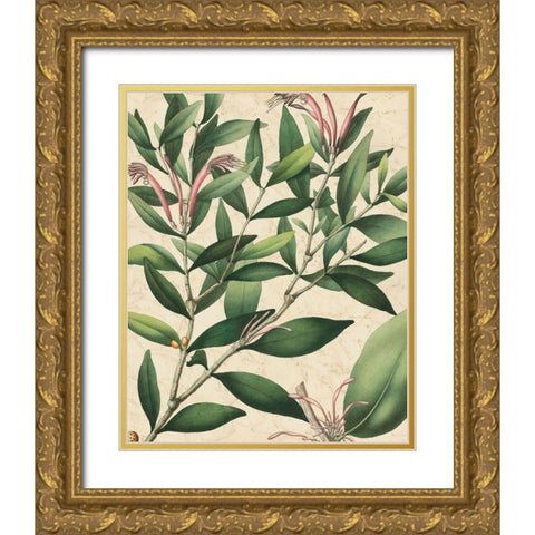 Botanic Beauty II Gold Ornate Wood Framed Art Print with Double Matting by Vision Studio