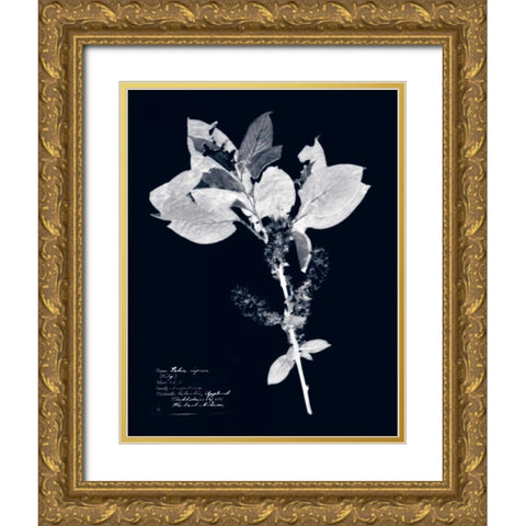 Impressions on Indigo I Gold Ornate Wood Framed Art Print with Double Matting by Vision Studio