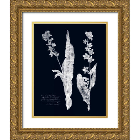 Impressions on Indigo IV Gold Ornate Wood Framed Art Print with Double Matting by Vision Studio