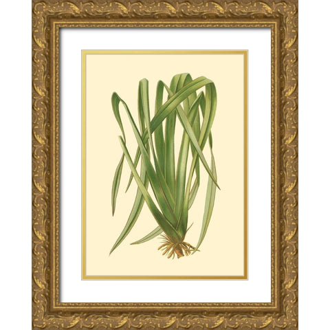 Custom Terra Collection III (KB) Gold Ornate Wood Framed Art Print with Double Matting by Vision Studio