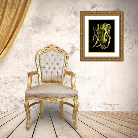 Green Leaves on Black IV Gold Ornate Wood Framed Art Print with Double Matting by Vision Studio