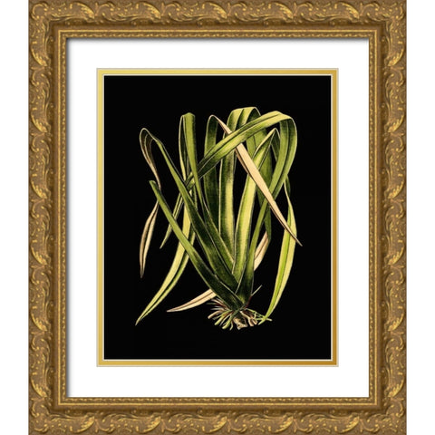 Green Leaves on Black IV Gold Ornate Wood Framed Art Print with Double Matting by Vision Studio