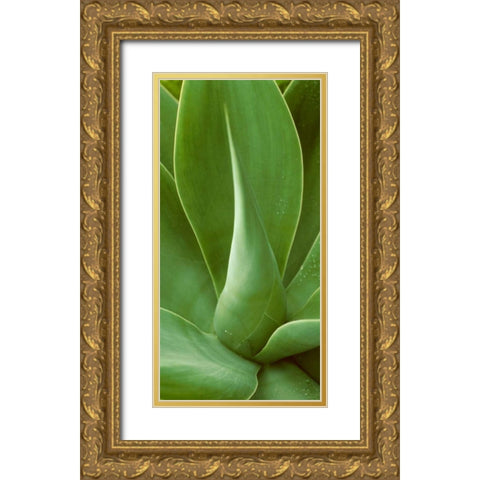 Patterned Nature I Gold Ornate Wood Framed Art Print with Double Matting by Vision Studio