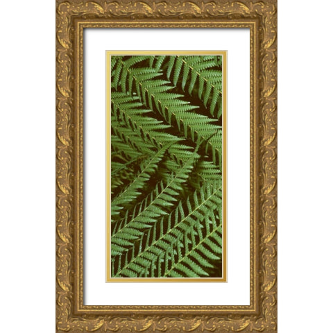 Patterned Nature II Gold Ornate Wood Framed Art Print with Double Matting by Vision Studio