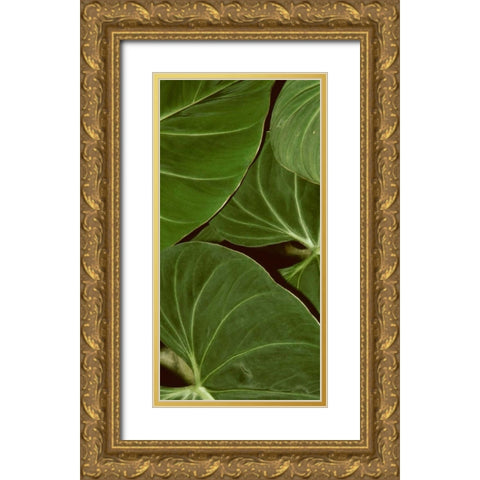 Patterned Nature III Gold Ornate Wood Framed Art Print with Double Matting by Vision Studio