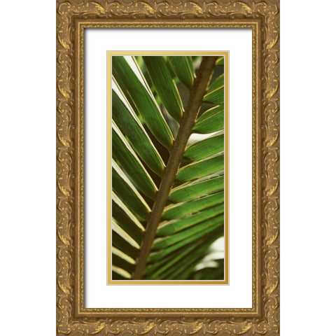 Patterned Nature IV Gold Ornate Wood Framed Art Print with Double Matting by Vision Studio
