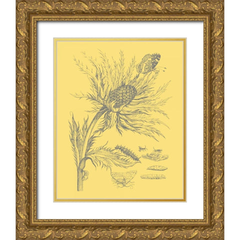 Natures Optimism I Gold Ornate Wood Framed Art Print with Double Matting by Vision Studio