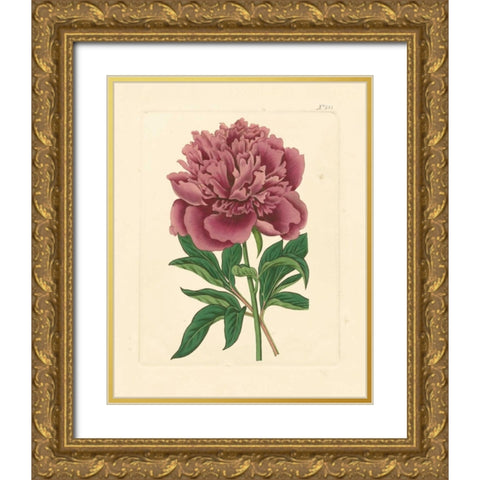 Evas Garden I Gold Ornate Wood Framed Art Print with Double Matting by Vision Studio
