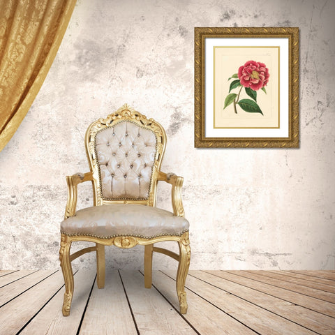 Evas Garden III Gold Ornate Wood Framed Art Print with Double Matting by Vision Studio