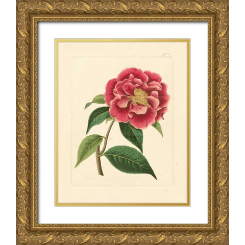 Evas Garden III Gold Ornate Wood Framed Art Print with Double Matting by Vision Studio