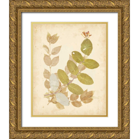 Natures Collage II Gold Ornate Wood Framed Art Print with Double Matting by Vision Studio