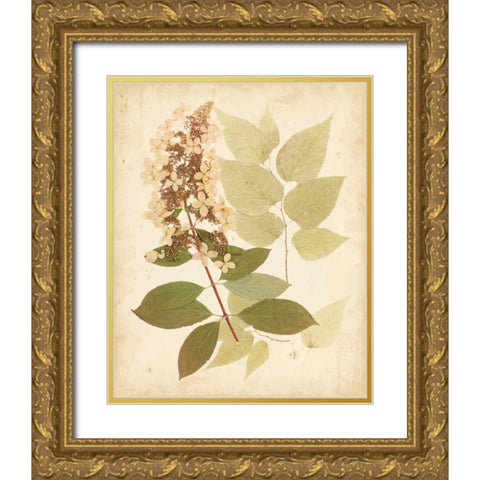 Natures Collage III Gold Ornate Wood Framed Art Print with Double Matting by Vision Studio
