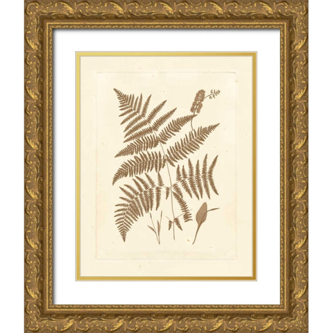 Sepia Ferns I Gold Ornate Wood Framed Art Print with Double Matting by Vision Studio