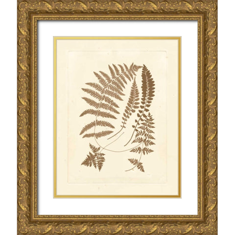 Sepia Ferns II Gold Ornate Wood Framed Art Print with Double Matting by Vision Studio
