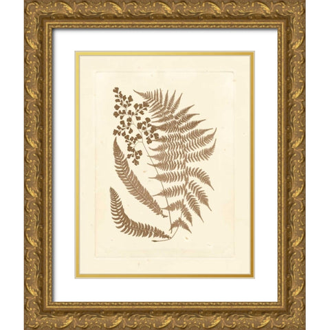 Sepia Ferns III Gold Ornate Wood Framed Art Print with Double Matting by Vision Studio