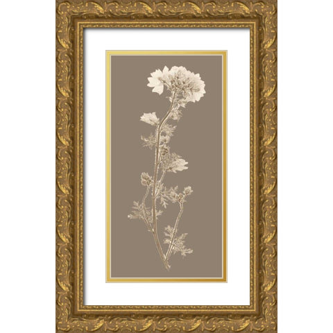 Taupe Nature Study I Gold Ornate Wood Framed Art Print with Double Matting by Vision Studio