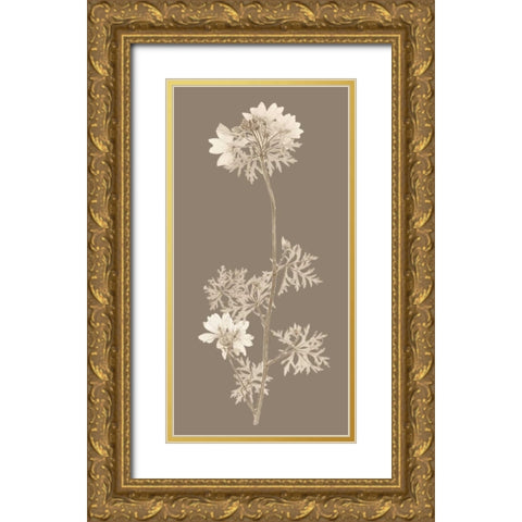 Taupe Nature Study II Gold Ornate Wood Framed Art Print with Double Matting by Vision Studio