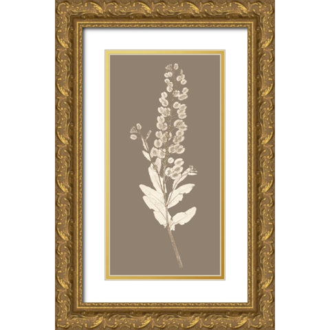 Taupe Nature Study III Gold Ornate Wood Framed Art Print with Double Matting by Vision Studio