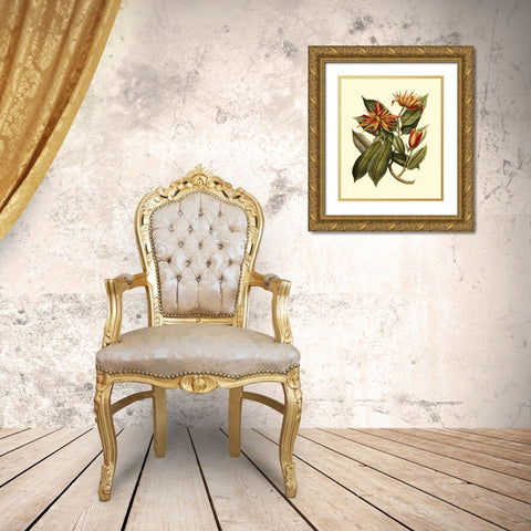 Magnificent Foliage I Gold Ornate Wood Framed Art Print with Double Matting by Vision Studio