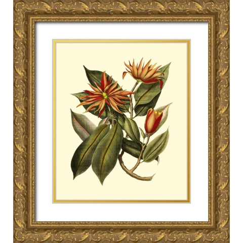 Magnificent Foliage I Gold Ornate Wood Framed Art Print with Double Matting by Vision Studio
