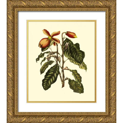 Magnificent Foliage II Gold Ornate Wood Framed Art Print with Double Matting by Vision Studio