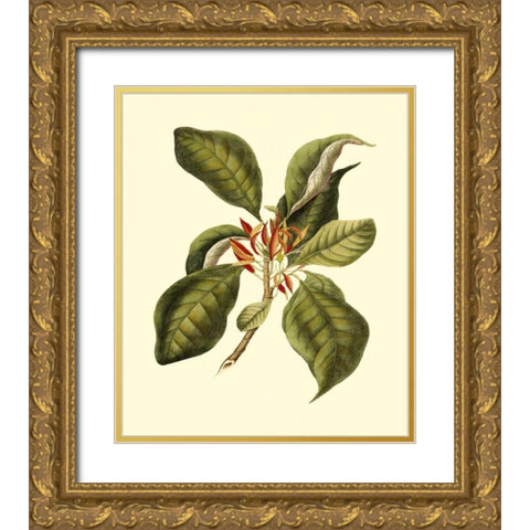 Magnificent Foliage III Gold Ornate Wood Framed Art Print with Double Matting by Vision Studio