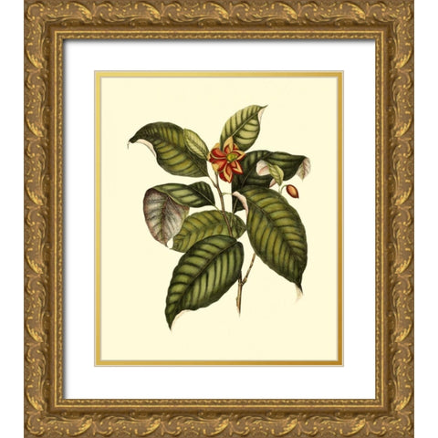 Magnificent Foliage IV Gold Ornate Wood Framed Art Print with Double Matting by Vision Studio