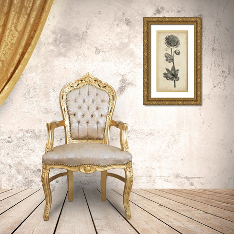 Singular Beauty I Gold Ornate Wood Framed Art Print with Double Matting by Vision Studio