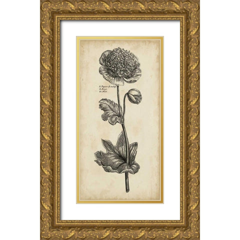 Singular Beauty I Gold Ornate Wood Framed Art Print with Double Matting by Vision Studio