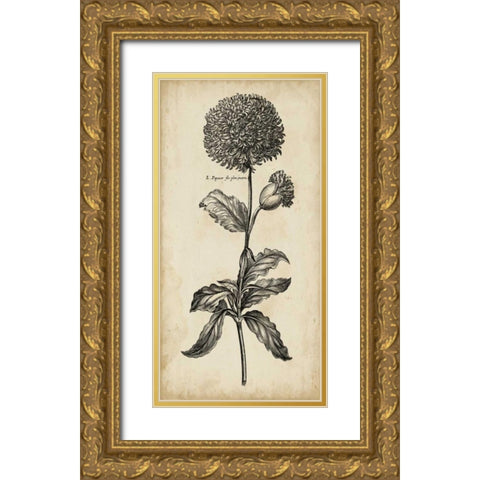 Singular Beauty II Gold Ornate Wood Framed Art Print with Double Matting by Vision Studio