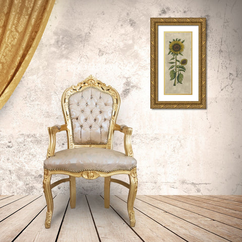 Sunflower Fresco I Gold Ornate Wood Framed Art Print with Double Matting by Vision Studio