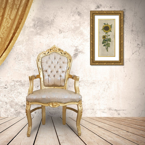 Sunflower Fresco II Gold Ornate Wood Framed Art Print with Double Matting by Vision Studio