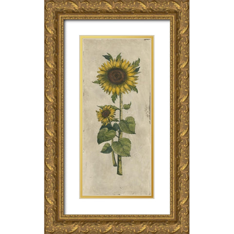 Sunflower Fresco II Gold Ornate Wood Framed Art Print with Double Matting by Vision Studio