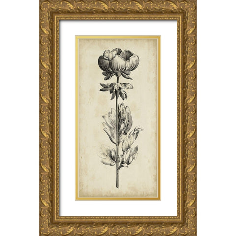 Singular Beauty III Gold Ornate Wood Framed Art Print with Double Matting by Vision Studio
