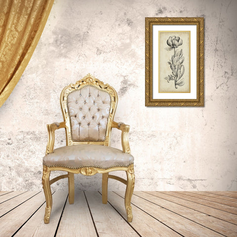 Singular Beauty IV Gold Ornate Wood Framed Art Print with Double Matting by Vision Studio