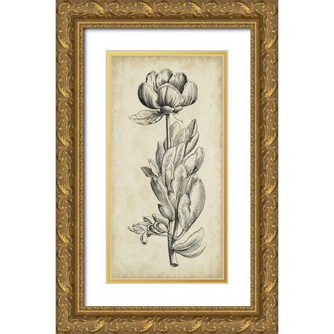 Singular Beauty IV Gold Ornate Wood Framed Art Print with Double Matting by Vision Studio