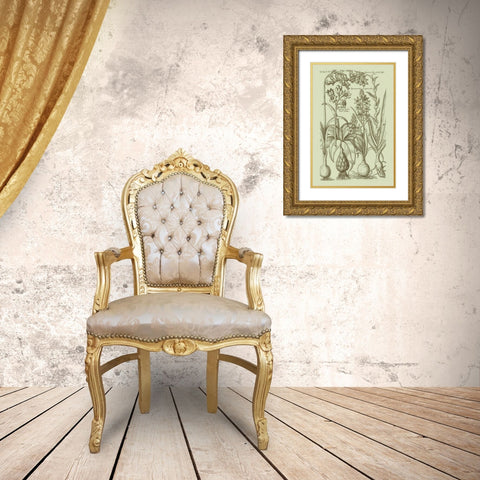 Garden of Flora I Gold Ornate Wood Framed Art Print with Double Matting by Vision Studio